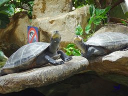 Haus des Meeres 13.03.2026